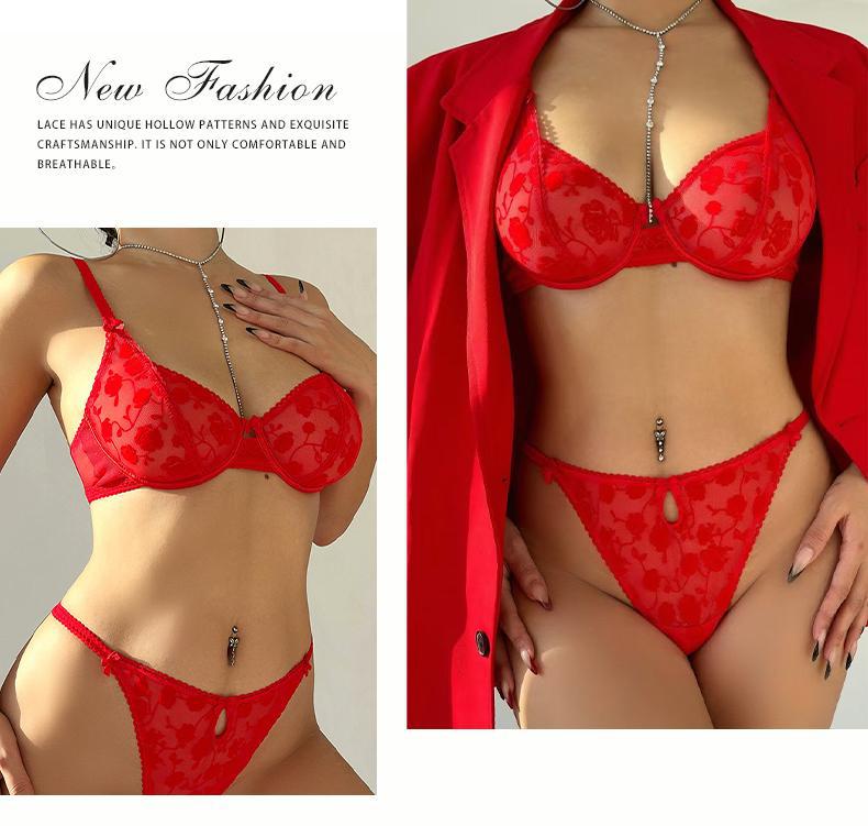 European and American Cross-Border Sexy Lingerie French Ultra-Thin Flocked Printed Mesh Bra Large Bust Minimizer Sexy Lingerie Set