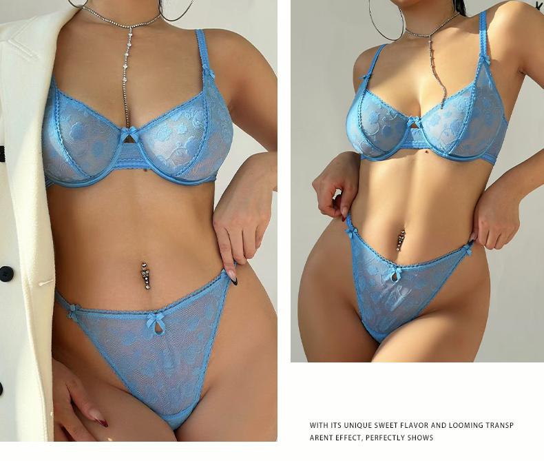 European and American Cross-Border Sexy Lingerie French Ultra-Thin Flocked Printed Mesh Bra Large Bust Minimizer Sexy Lingerie Set
