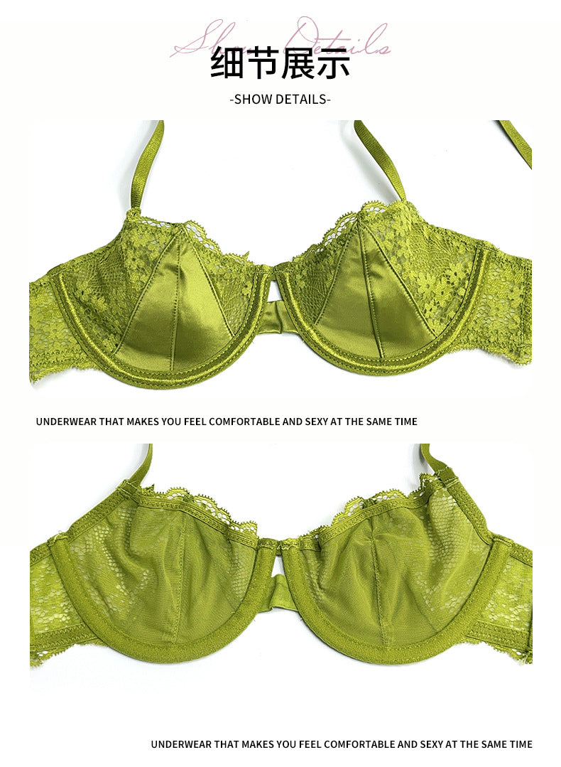 French Style Sexy Lingerie for Women Lace Girl Satin Embroidery Print Large Bust Minimizer Push-Up Bra Set