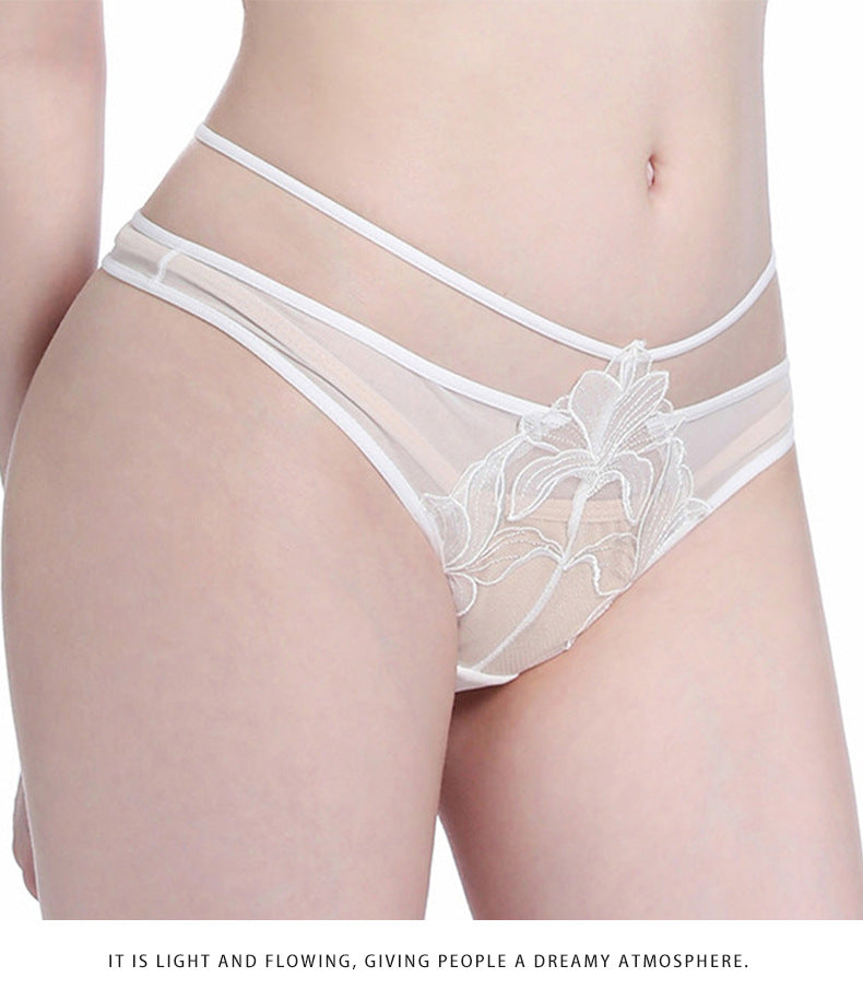 European and American Cross-Border Sexy Women's Panties Thin Breathable Embroidered Lace Panties Hip-Lifting Low Waist Plus Size Panties T Pants