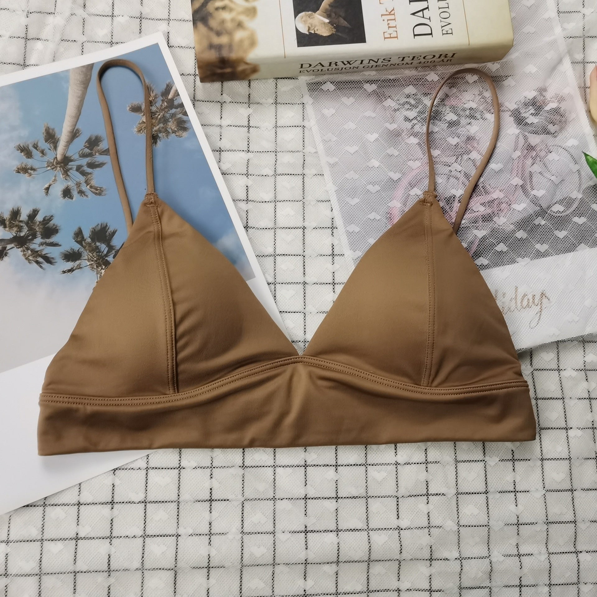 Hot-Selling French Style Sexy Lingerie for Women, Wireless Thin Triangle Cup, Small Chest Push-Up, Smooth Back Bra Wholesale