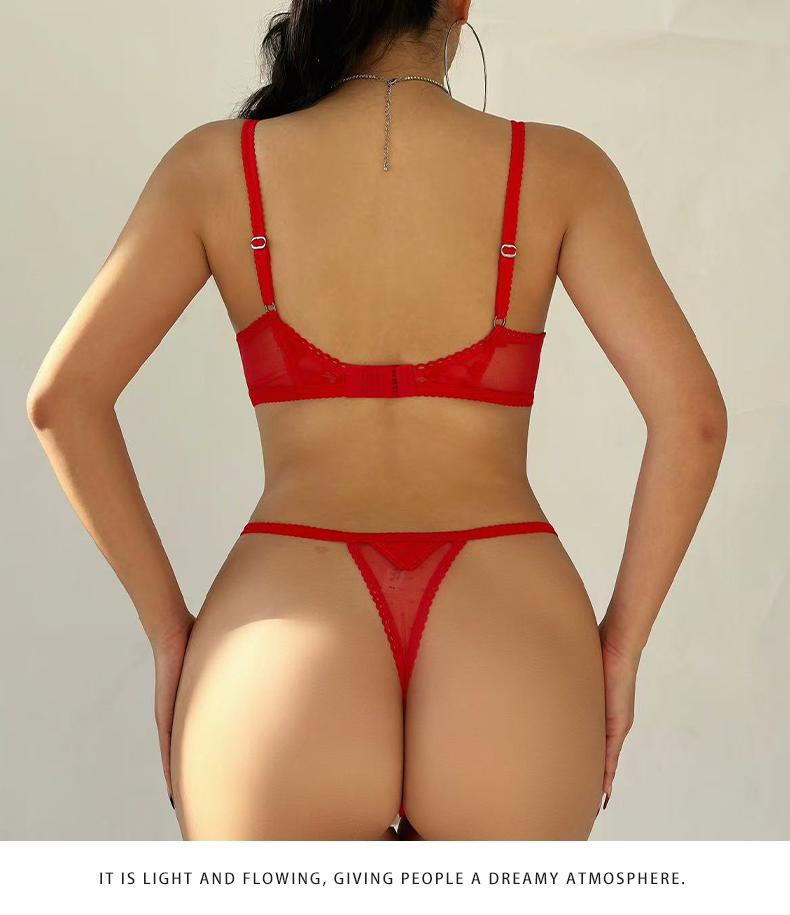 European and American Cross-Border Sexy Lingerie French Ultra-Thin Flocked Printed Mesh Bra Large Bust Minimizer Sexy Lingerie Set