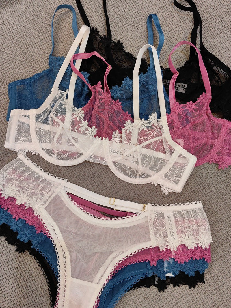 Cross-Border French Style Sexy Lingerie Ultra-Thin Mesh Embroidered Lace Bra Large Bust Minimizer Anti-Sagging Summer Underwear