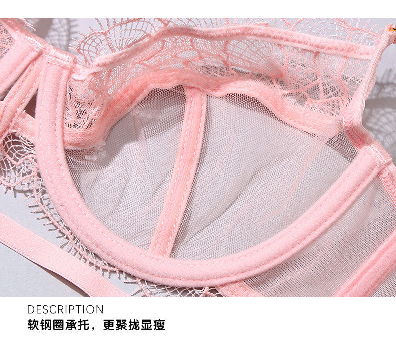 French Semi-Transparent Lace Lingerie Set Bra Sexy Pure Desire Hollow Bra Women's Push-Up Wholesale
