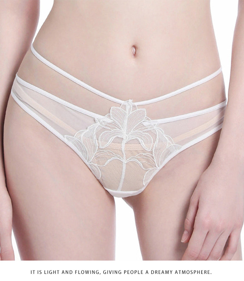 European and American Cross-Border Sexy Women's Panties Thin Breathable Embroidered Lace Panties Hip-Lifting Low Waist Plus Size Panties T Pants