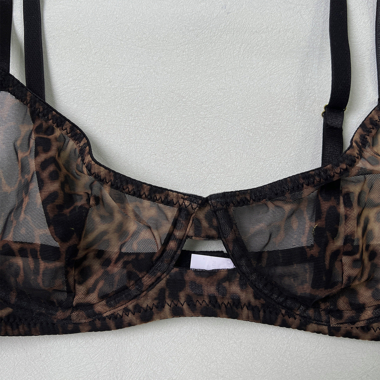 European and American Cross-Border Sexy Lingerie Big Chest Minimizer Ultra-Thin See-Through Leopard Mesh Temptation Sexy Bra Two-Piece Set for Women