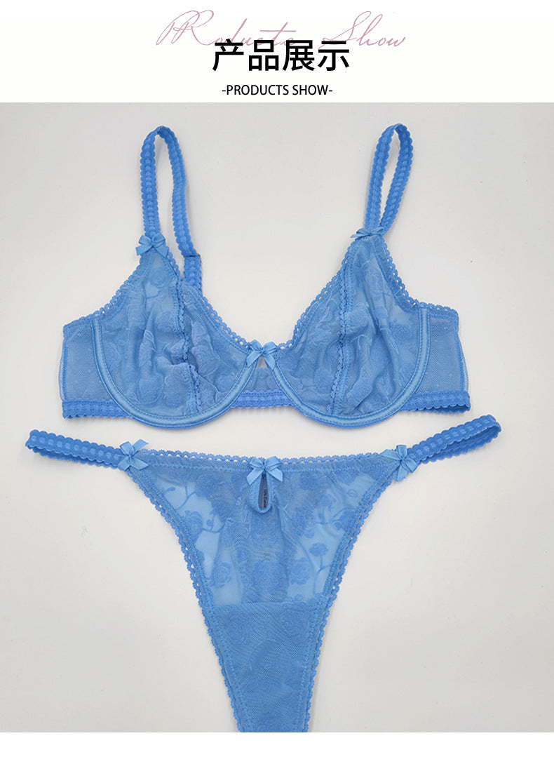 European and American Cross-Border Sexy Lingerie French Ultra-Thin Flocked Printed Mesh Bra Large Bust Minimizer Sexy Lingerie Set
